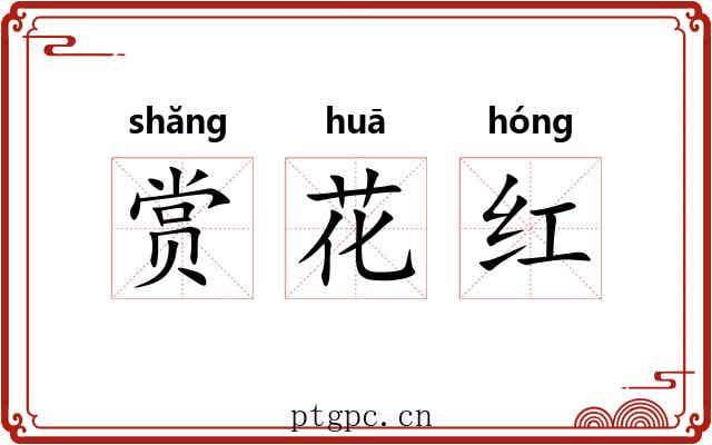 赏花红 赏花红