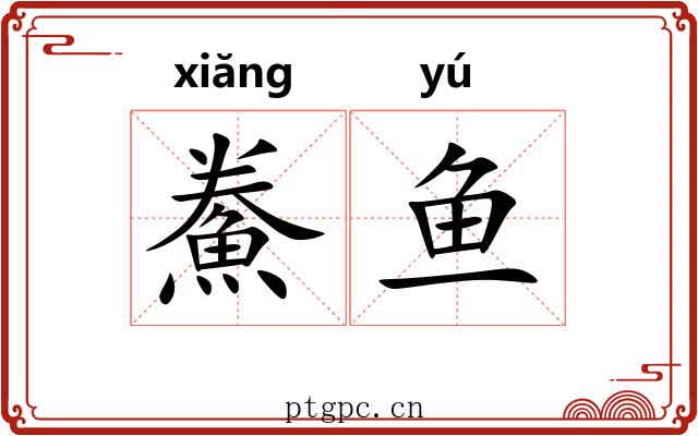 鮝鱼