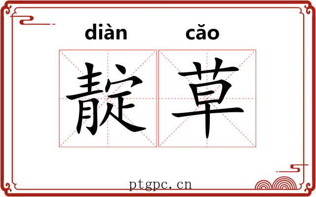 靛草 靛草