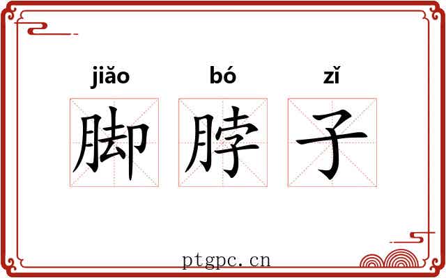 脚脖子 脚脖子