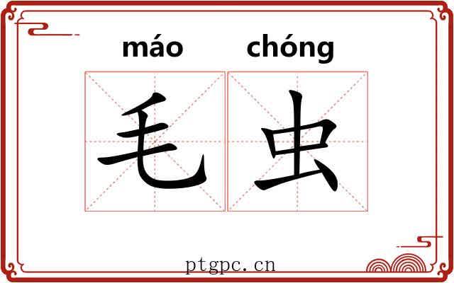 毛虫