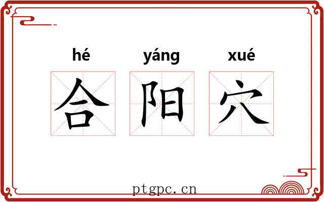 合阳穴 合阳穴
