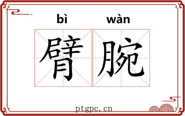 臂腕