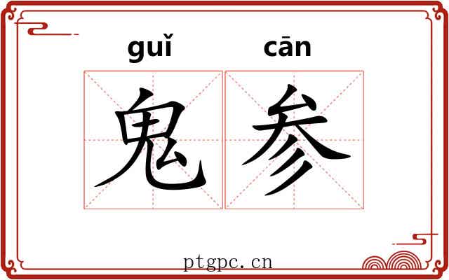 鬼参 鬼参