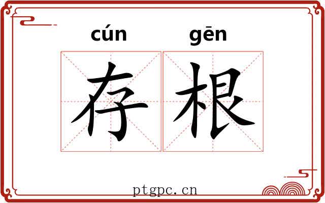存根 存根