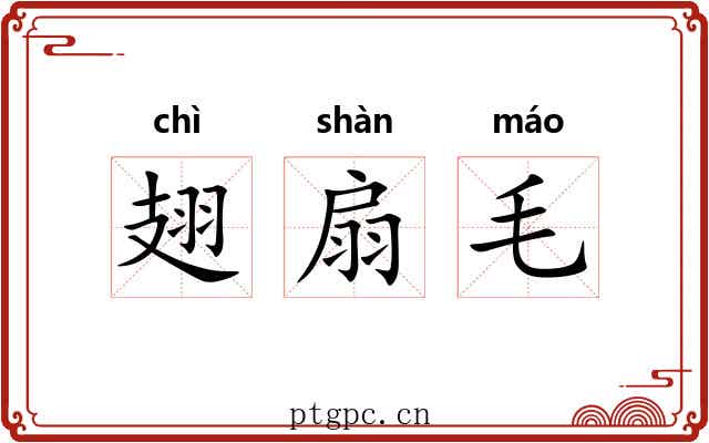 翅扇毛 翅扇毛