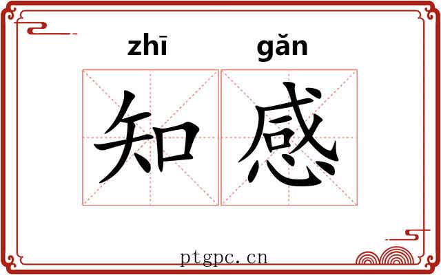 知感 知感