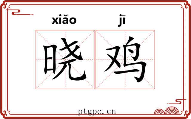 晓鸡