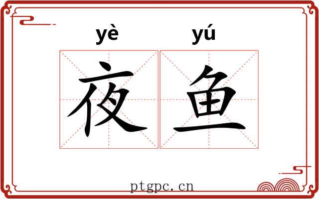 夜鱼