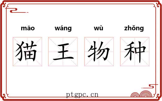 猫王物种 猫王物种