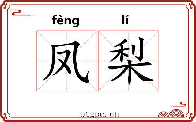 凤梨