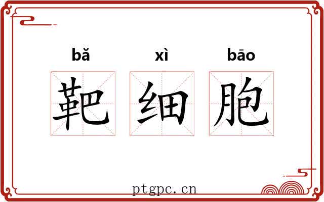 靶细胞 靶细胞