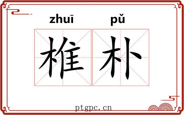 椎朴