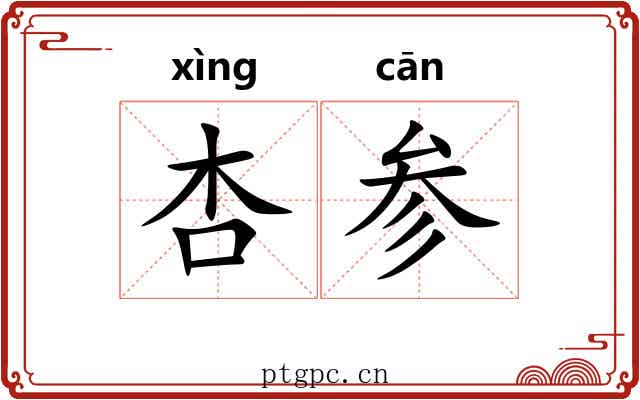 杏参 杏参
