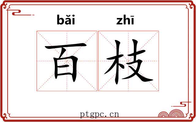 百枝