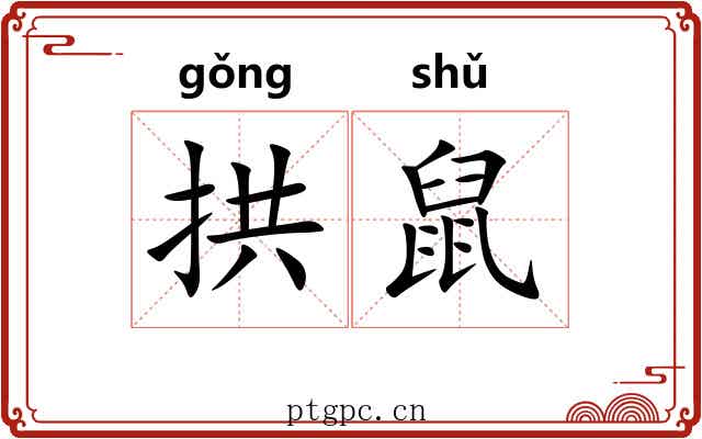 拱鼠