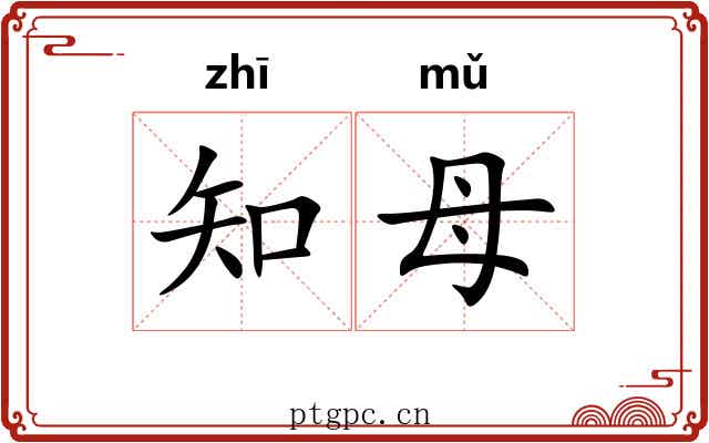 知母