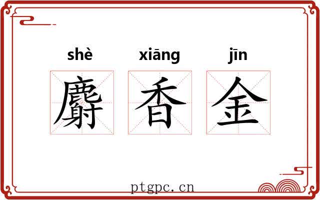 麝香金 麝香金