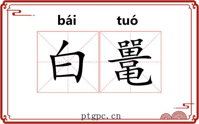 白鼍 白鼍