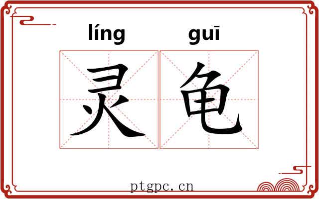 灵龟 灵龟
