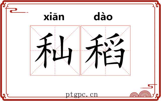 秈稻