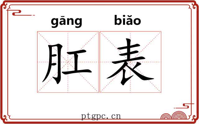 肛表 肛表