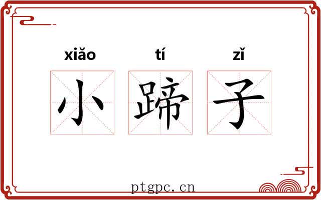 小蹄子