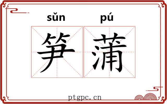 笋蒲
