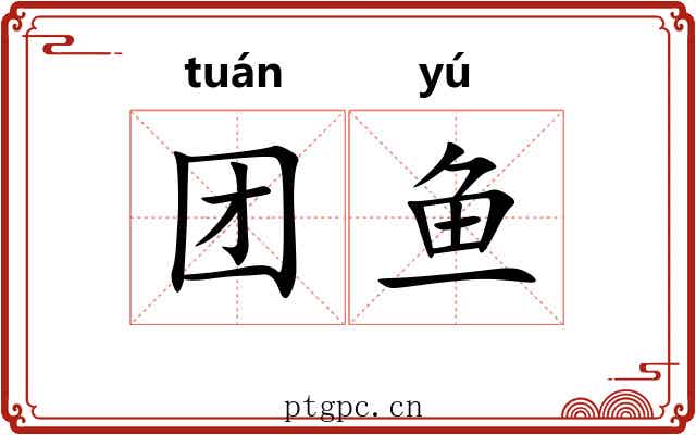 团鱼
