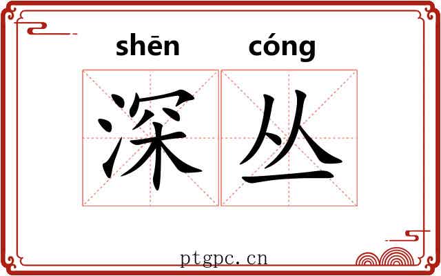 深丛 深丛