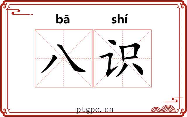 八识 八识