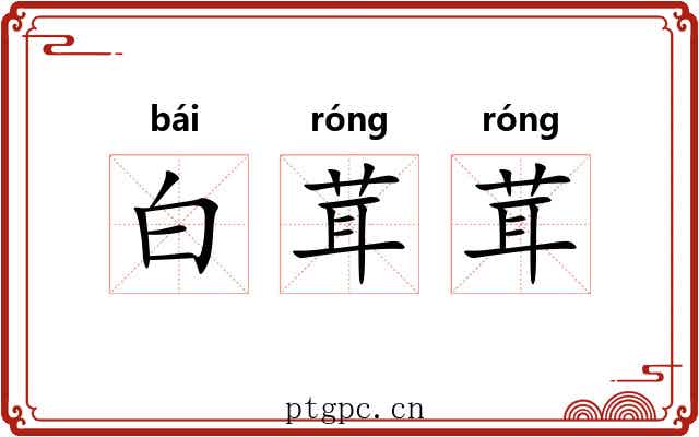 白茸茸