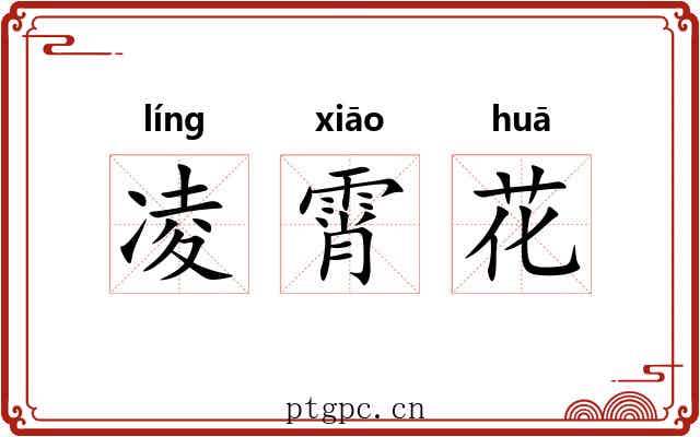 凌霄花 凌霄花