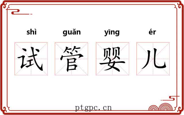 试管婴儿 试管婴儿