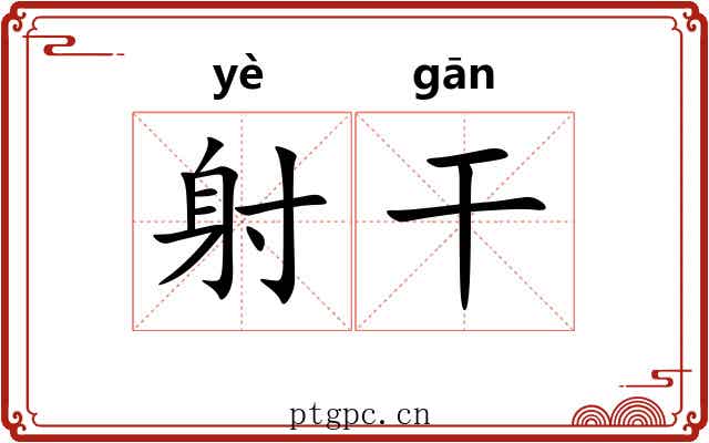 射干 射干
