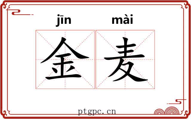 金麦 金麦