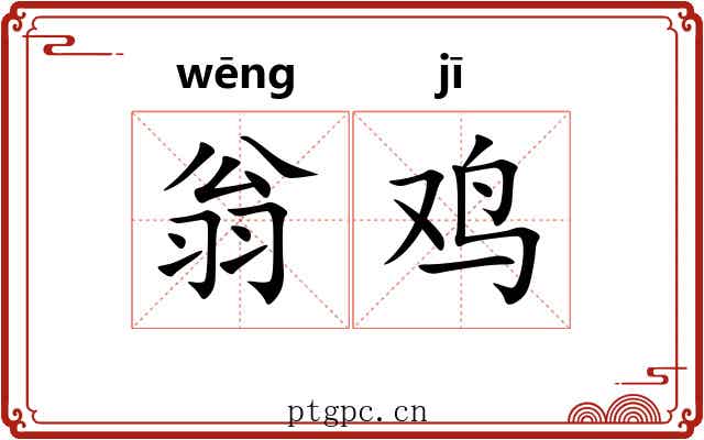 翁鸡