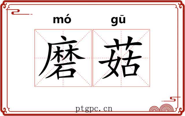 磨菇