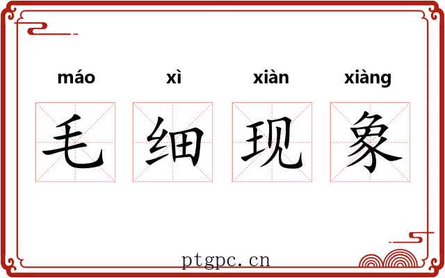 毛细现象 毛细现象