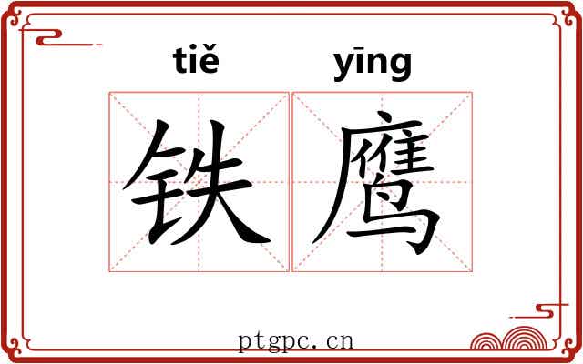 铁鹰