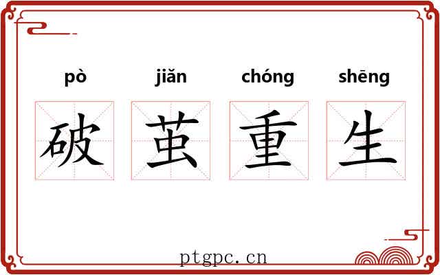 破茧重生 破茧重生
