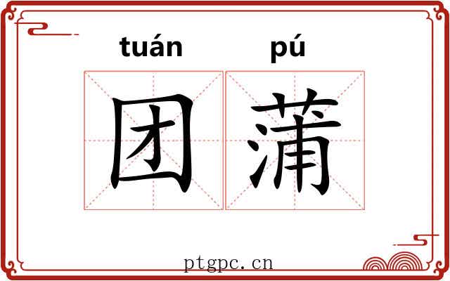团蒲
