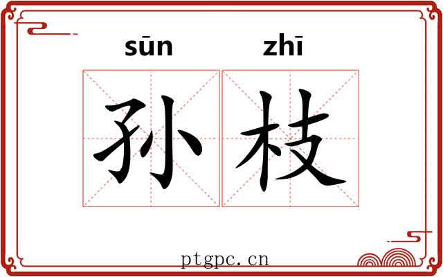 孙枝 孙枝