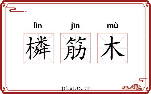 橉筋木 橉筋木