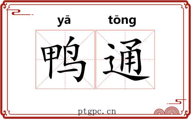 鸭通