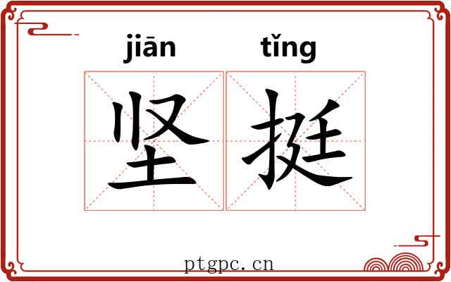 坚挺