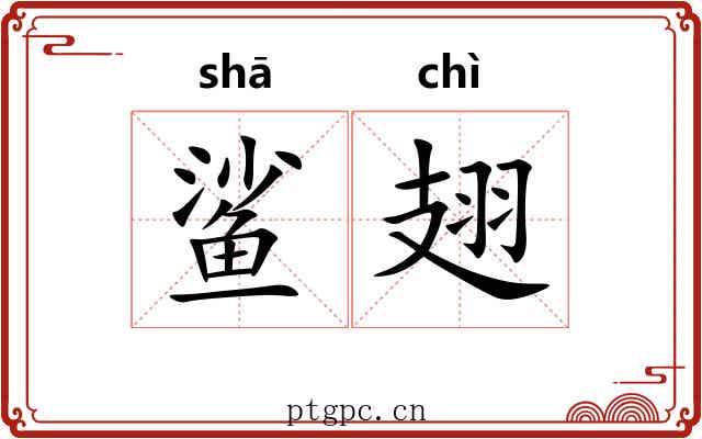 鲨翅