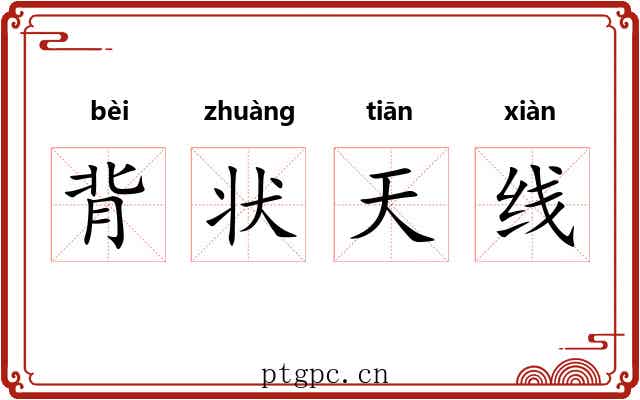 背状天线 背状天线