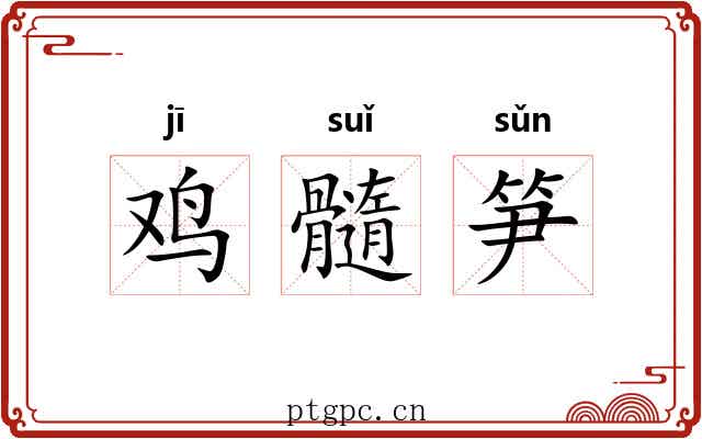 鸡髓笋