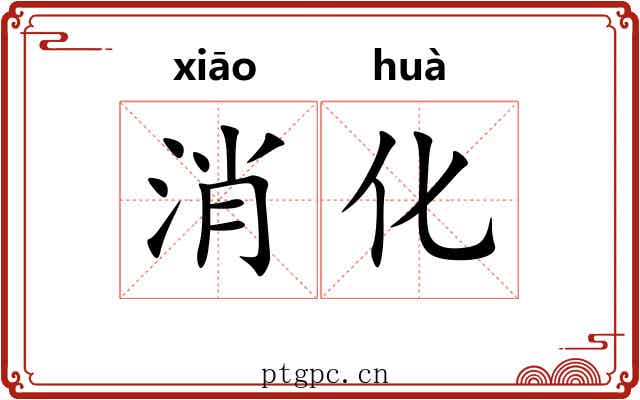 消化 消化